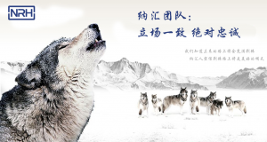 香蕉视频软件的团队精神
